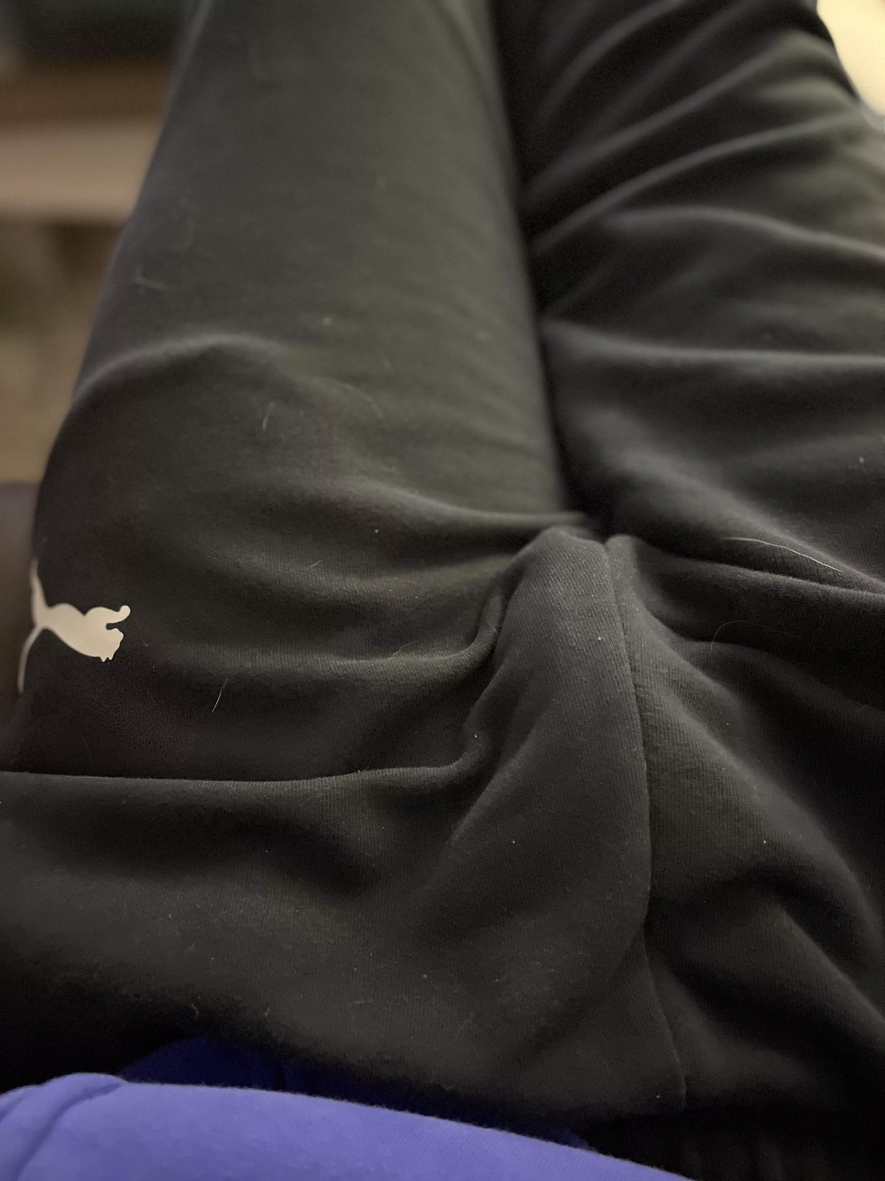 Cock. posted by Bluenosestripes