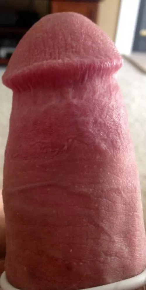 Cock rings feel so good around this tiny dick! [36] by Old_Assignment9640