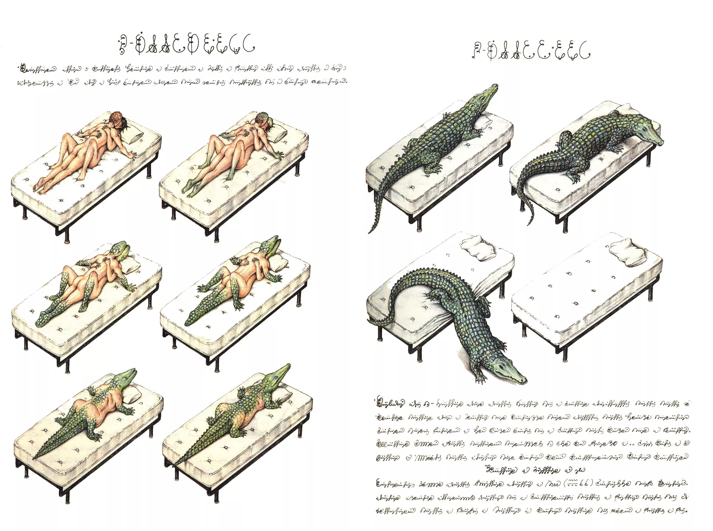 Codex Seraphinianus by Artist Luigi Seragini posted by A_Kaiser_With_BWC