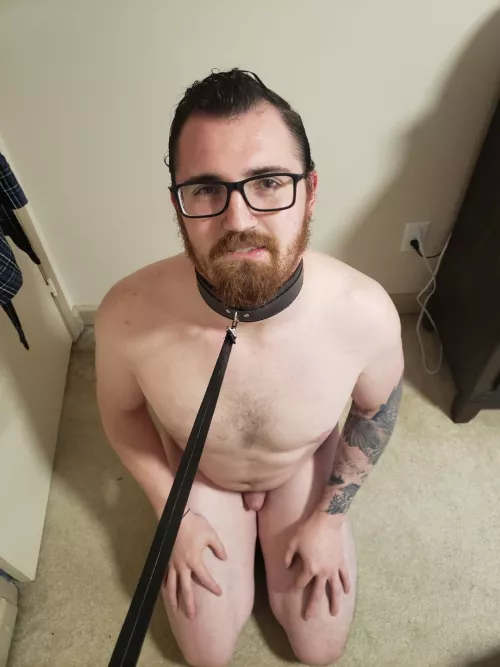 Collared, leashed and ready for you 😈 by LuckyLynnsPet