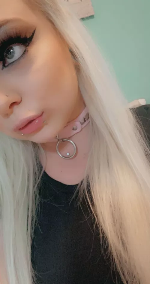 Collared up and ready to be pulled around by Fr0st_Kitt3n