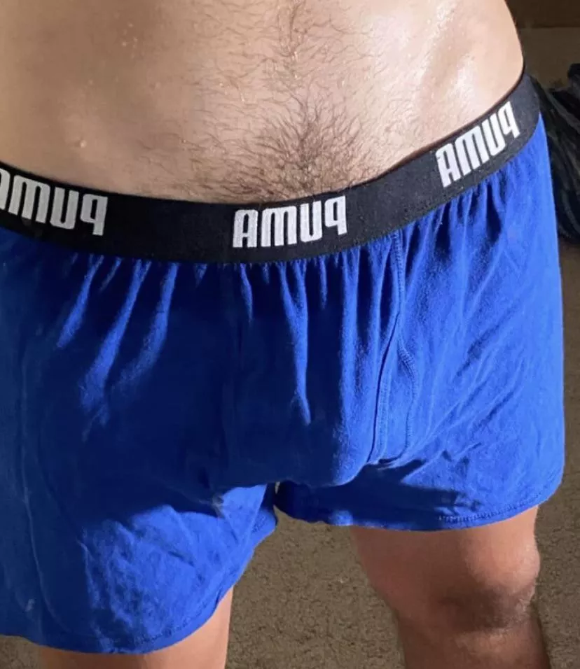College boy pubes 😈 posted by collegebriefs_420