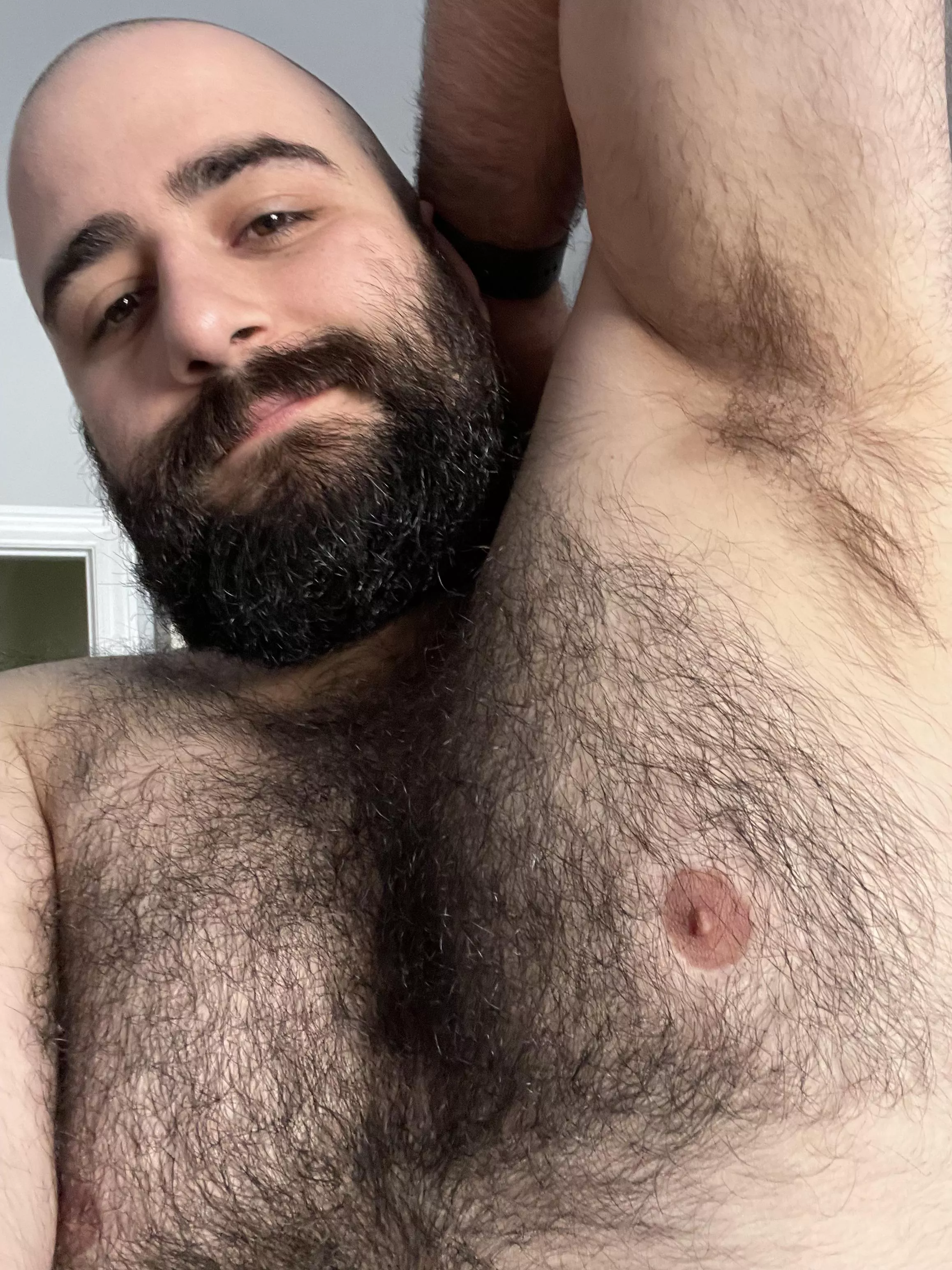 Come and get it! posted by bearded_martha