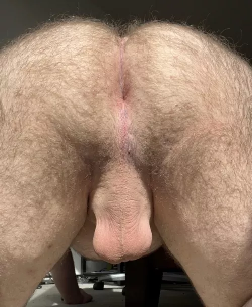 Come breed my hairy hole by PricklyCactus44