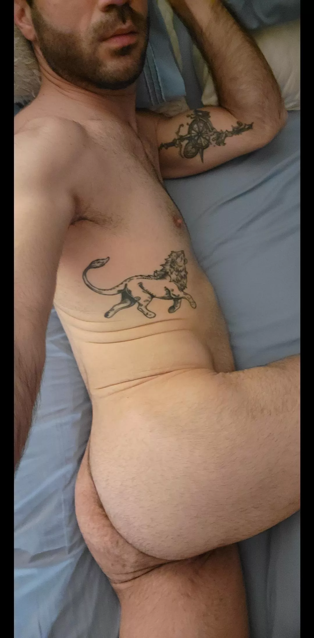 Come cuddle? posted by my-nsfw-account-1