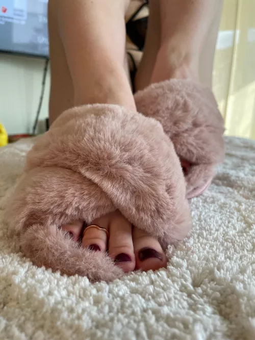 Come cuddle my cute feet 🥰 by solesofclaire