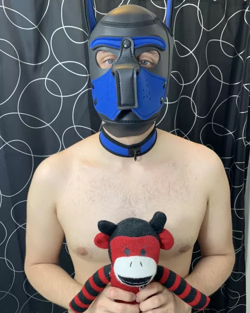 Come cuddle with us? 🥺🐶 by RichSaxoxo