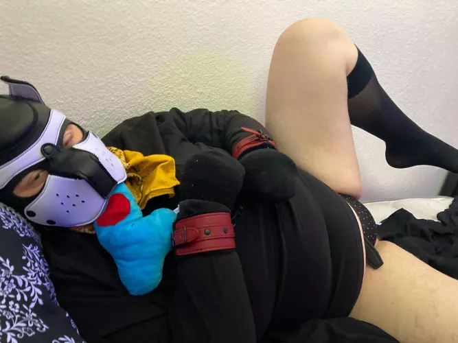 Come fill this puppy ass up ~ by Astro__Mutt