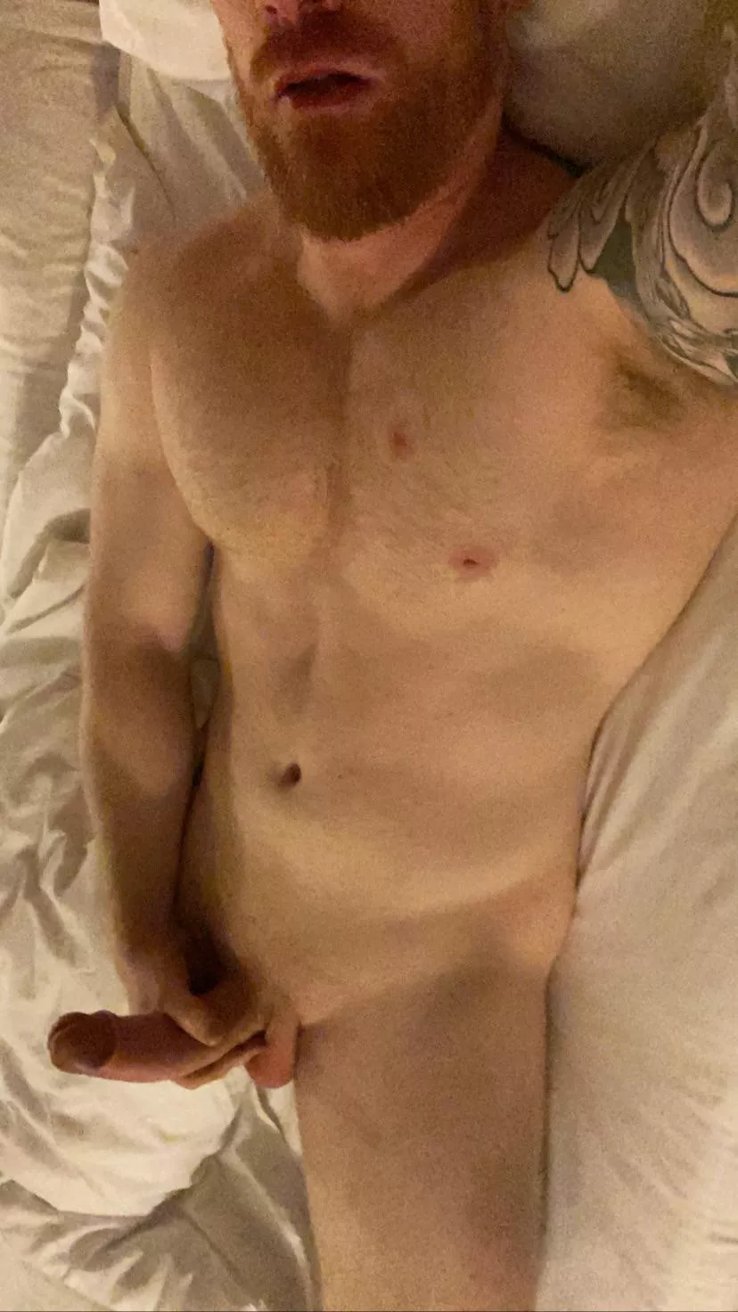 Come for a ride? posted by ginjajack87