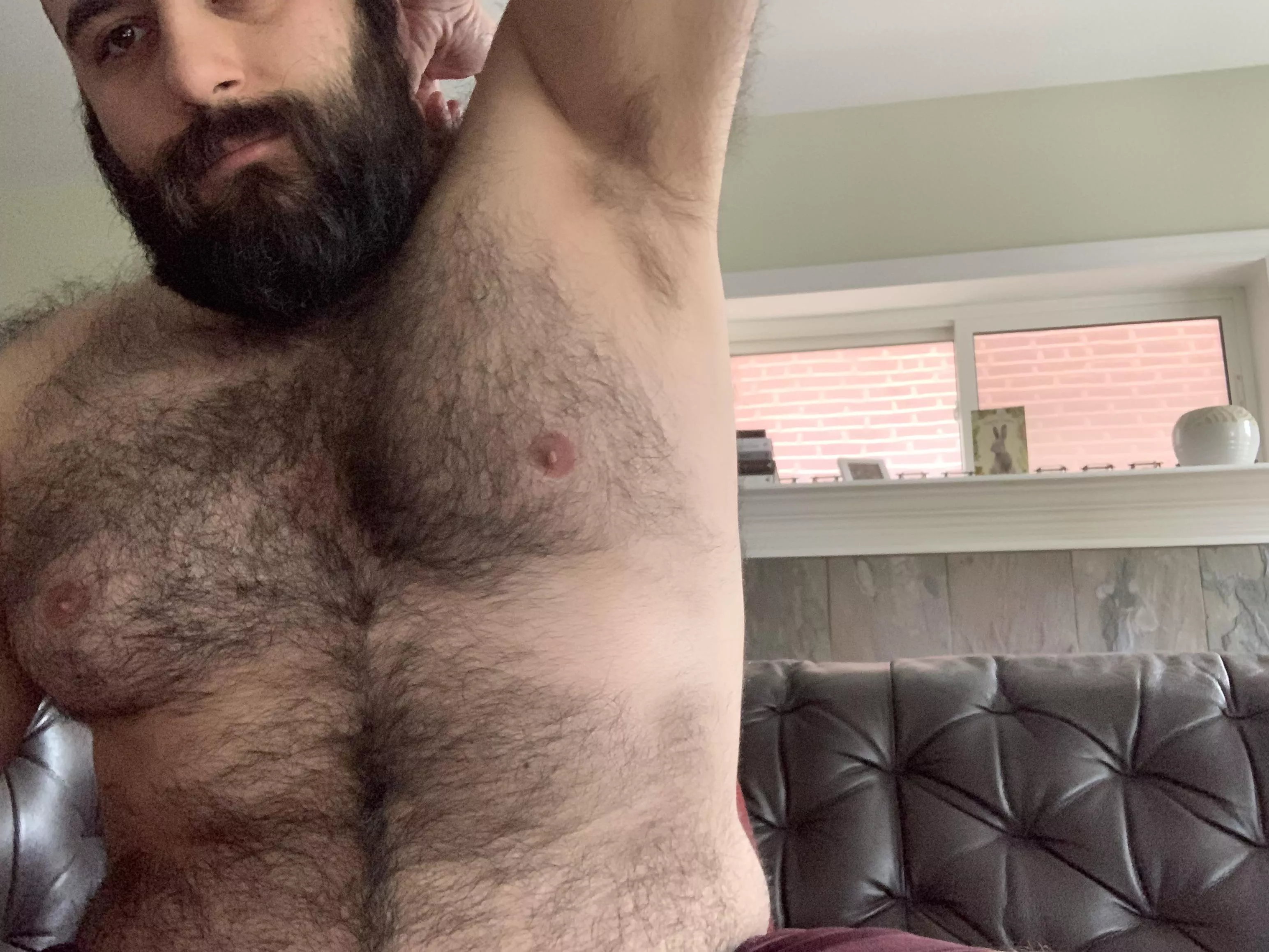 Come get it posted by bearded_martha