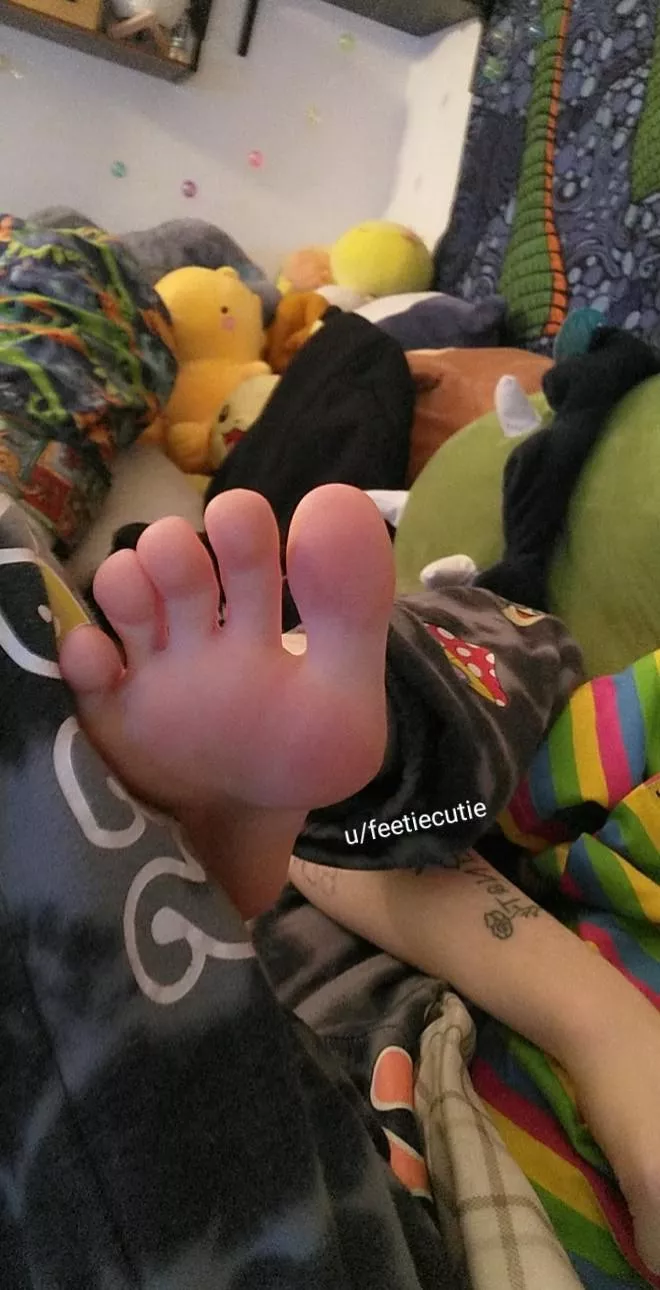 Come get these sweaty toes <3 posted by feetiecutie