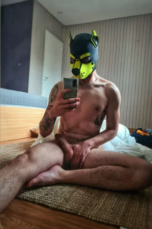 Come get your bone. by Chevalery