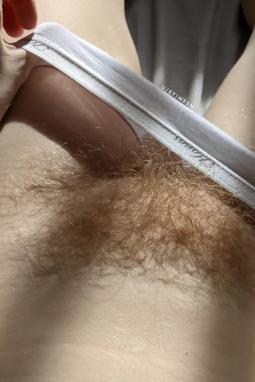 Come help take these off by efiwfsn