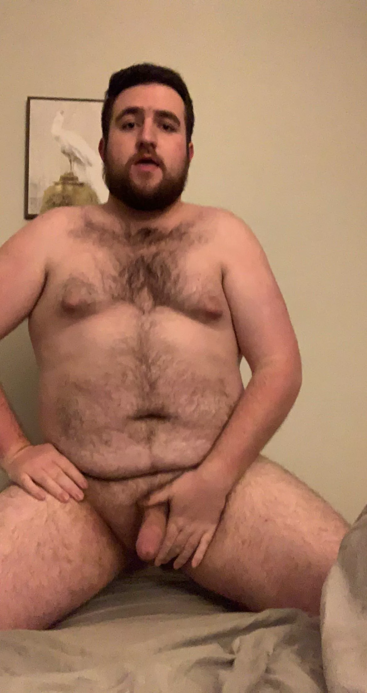 come here posted by Riley_hairybear