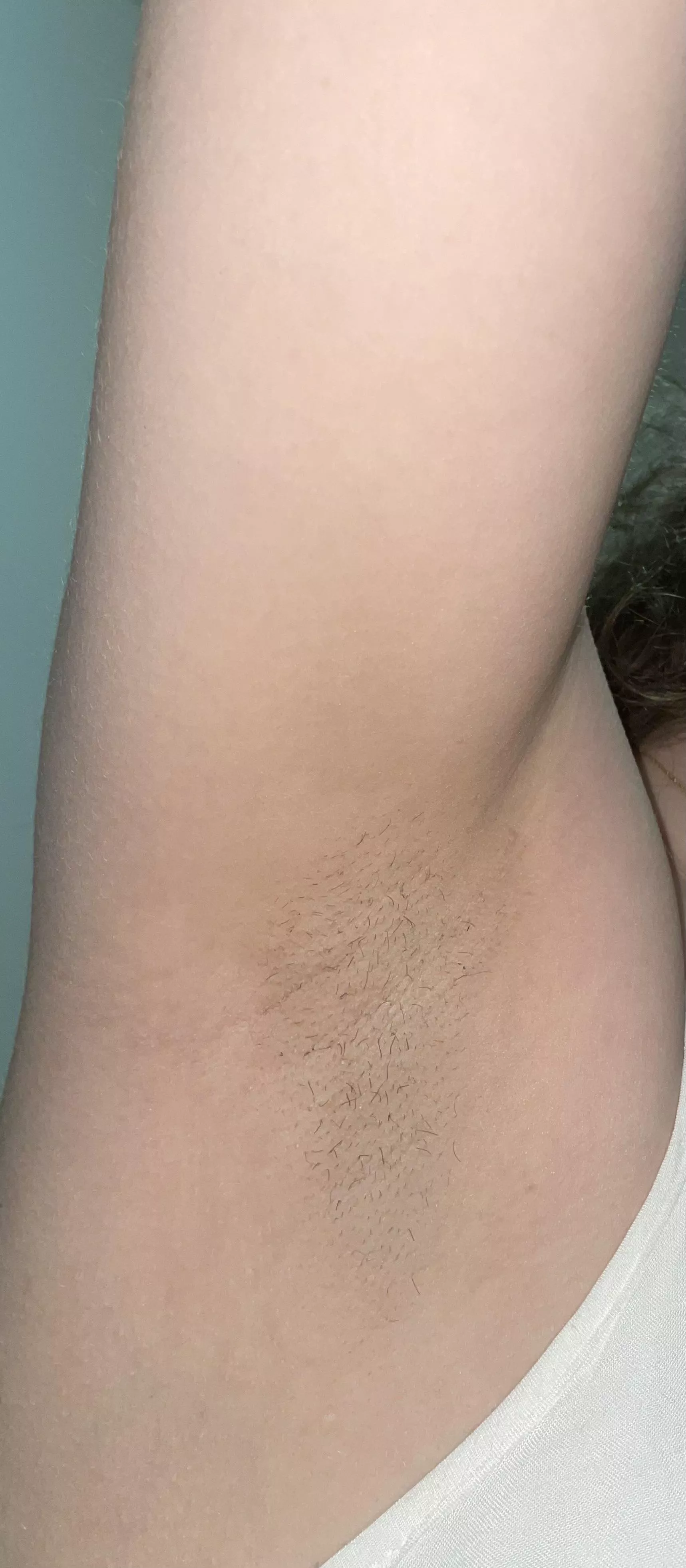 Come here and sniff my stubble armpit. posted by arrowairline