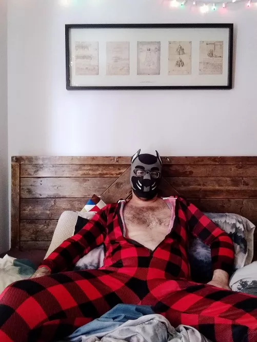 Come here, I promise it's cozy by Alpha_Wvlf