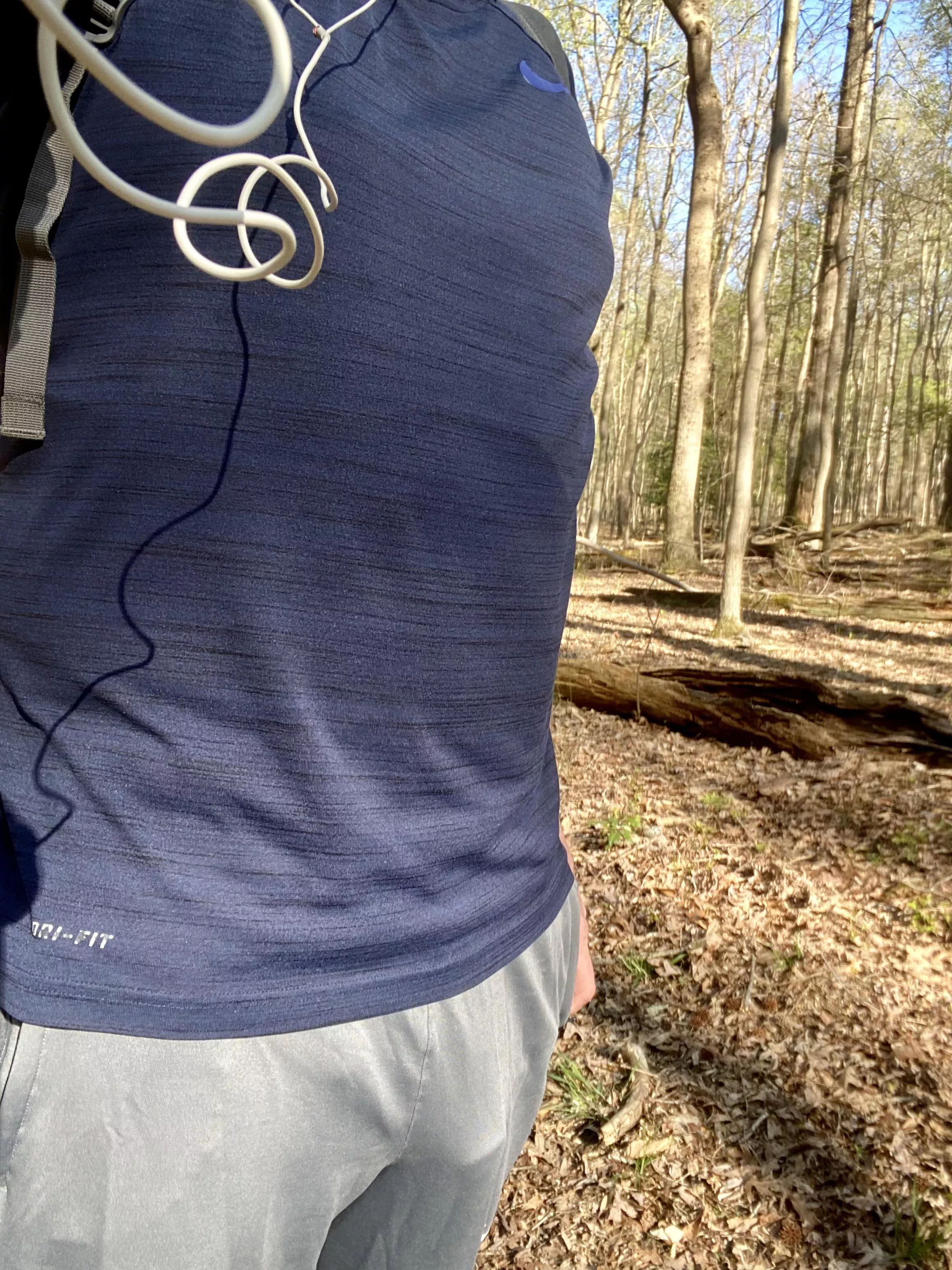 Come hiking with me posted by cosmova