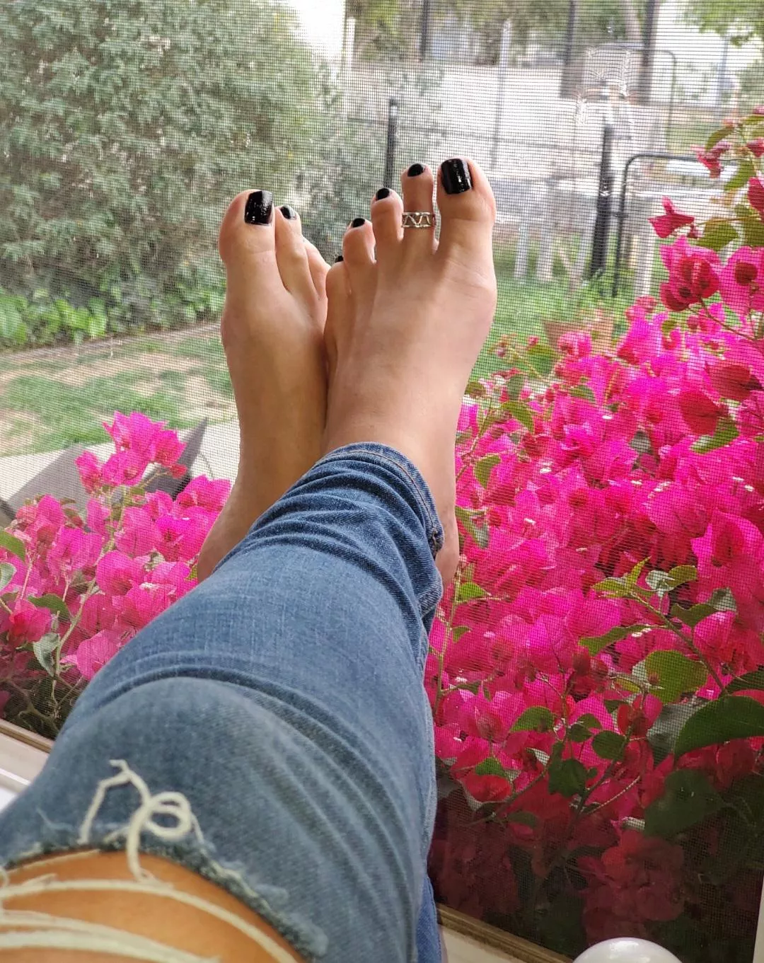 come massage my cold feet puppy... posted by jessicaleighfeet