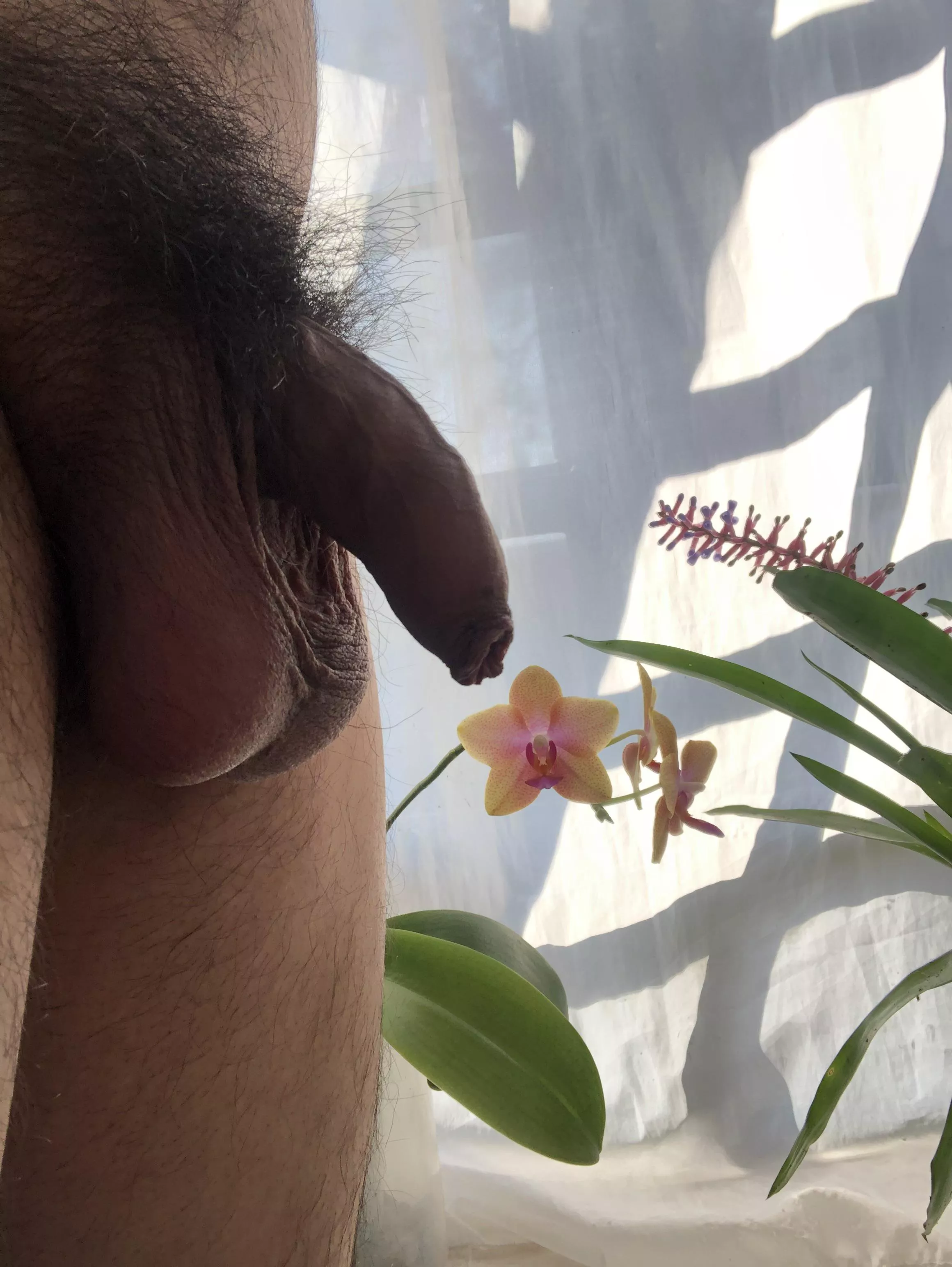 Come smell the flowers posted by CamoteThrowaway