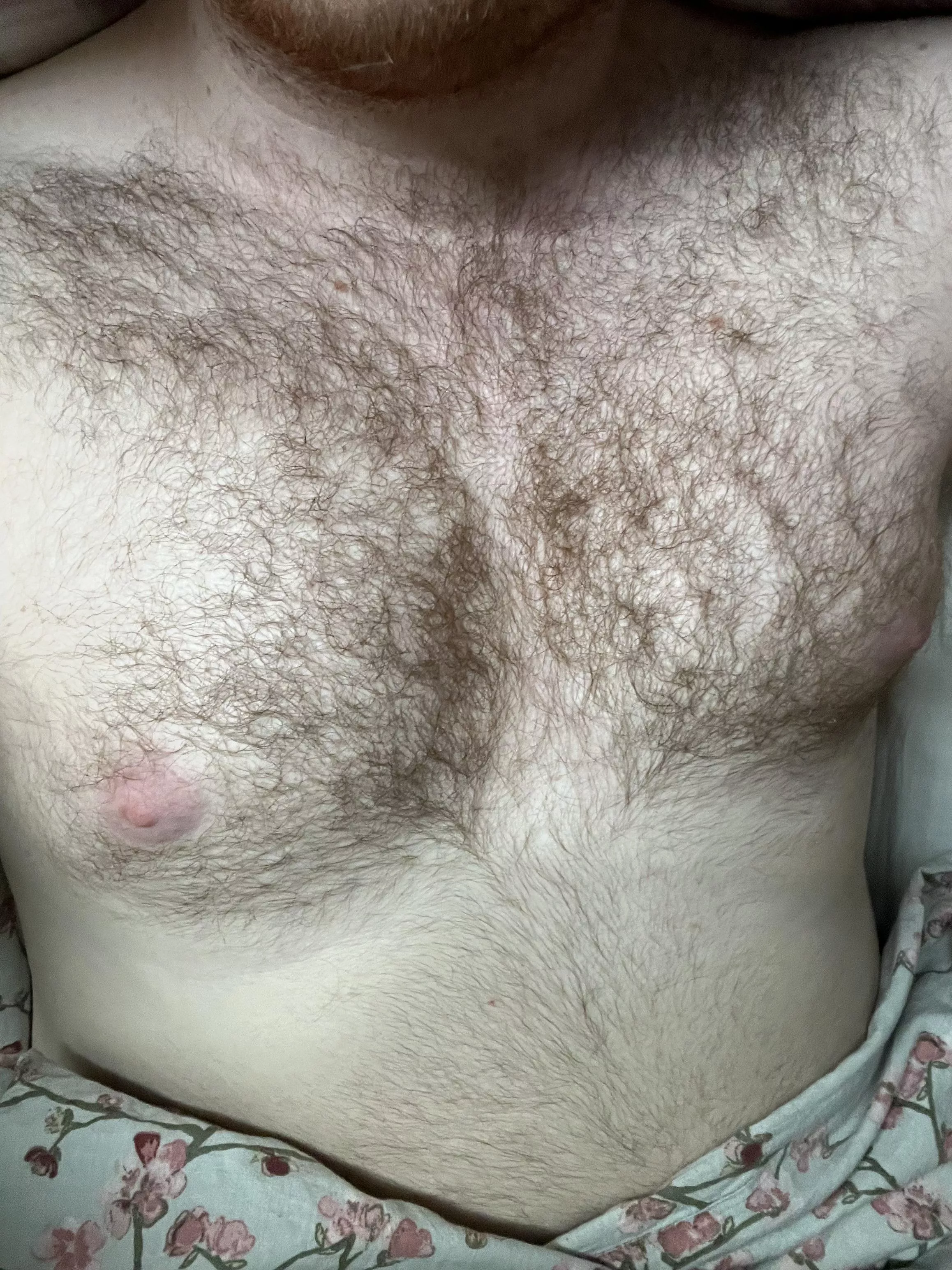 Come snuggle. posted by Ltntxty