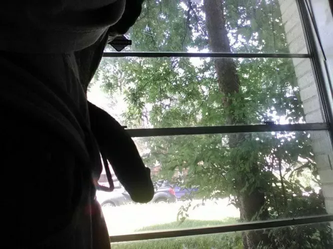 Come suck my dick in the window show the world 🌎 how desperate you are to please the #Bnwo by AlphaSupremeKing