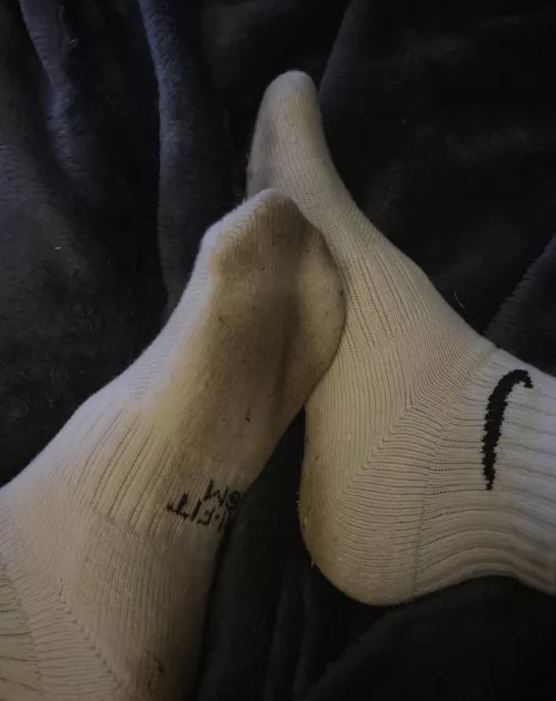 come take a big sniff🤩 by petitefeet64