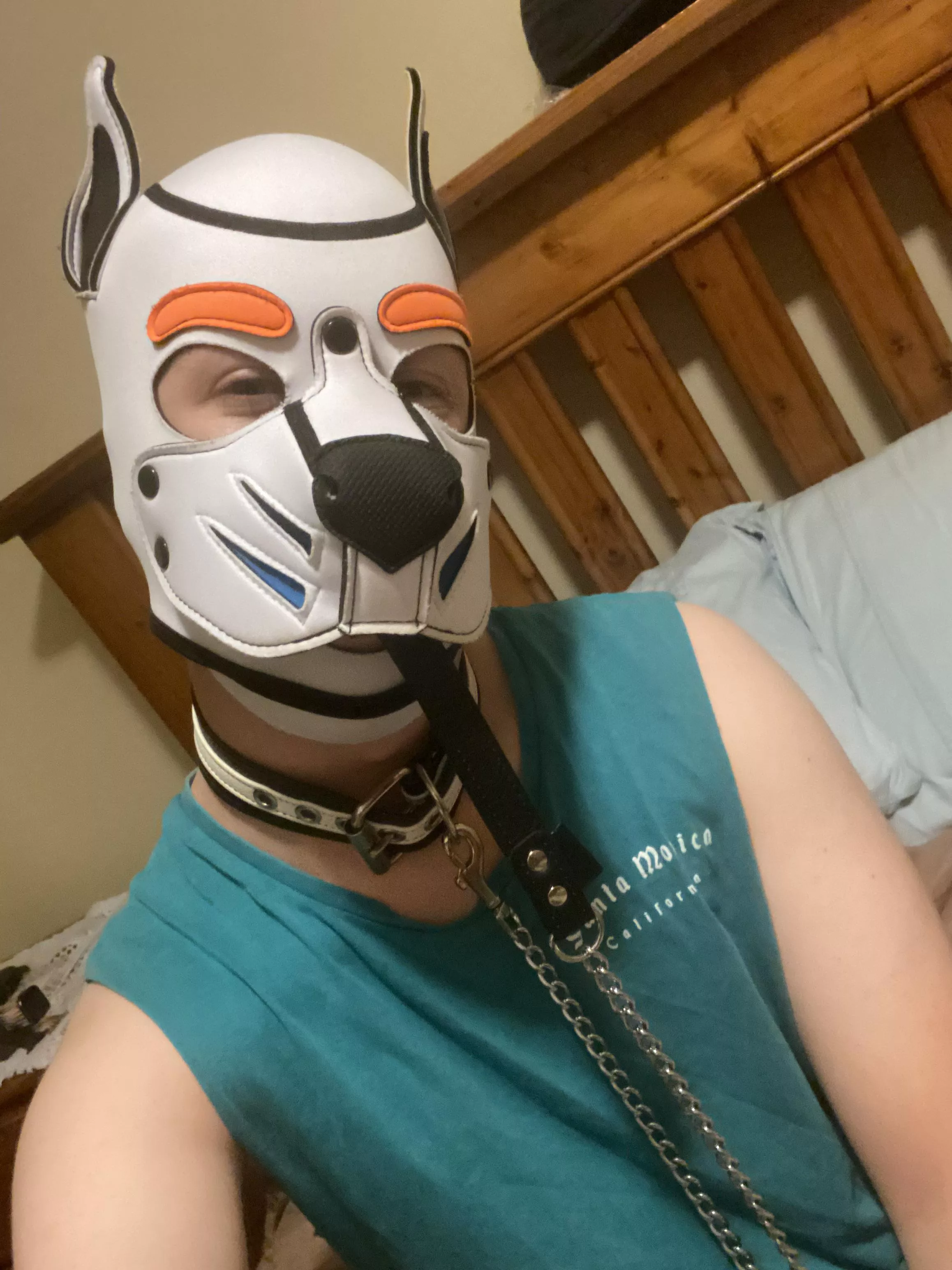 Come tug on my leash? posted by bobbymoon145
