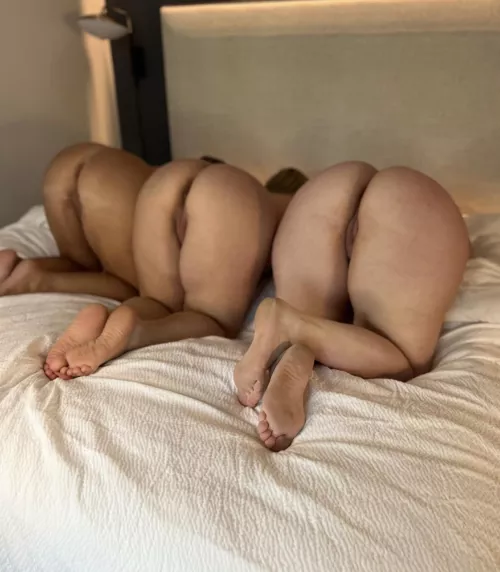 Come use all of our holes! by alysky913