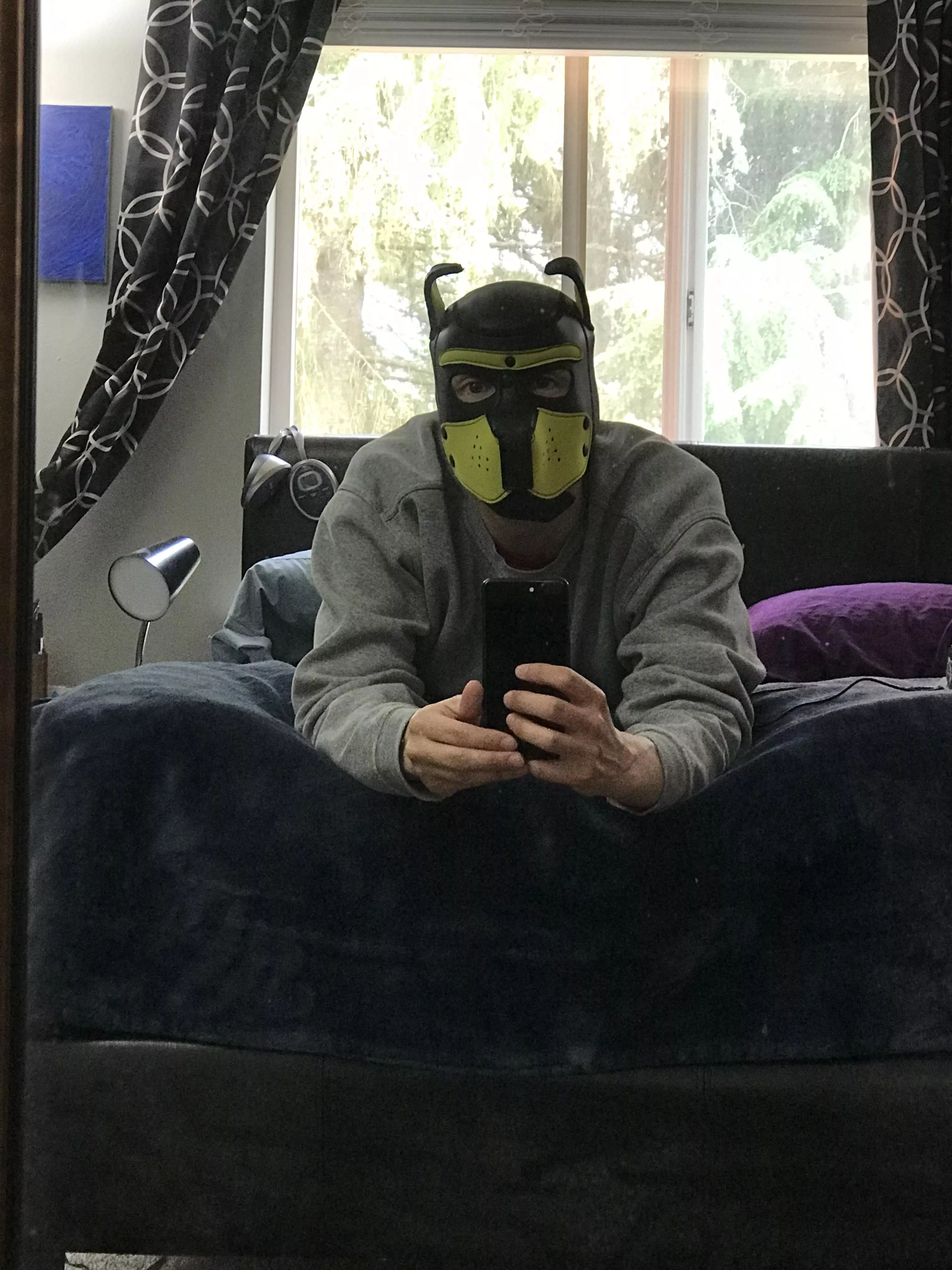 Comfy but could use some company 🐶 posted by Nightlypassion