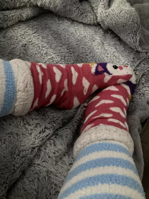 [?]comfy evening by Dgamer144