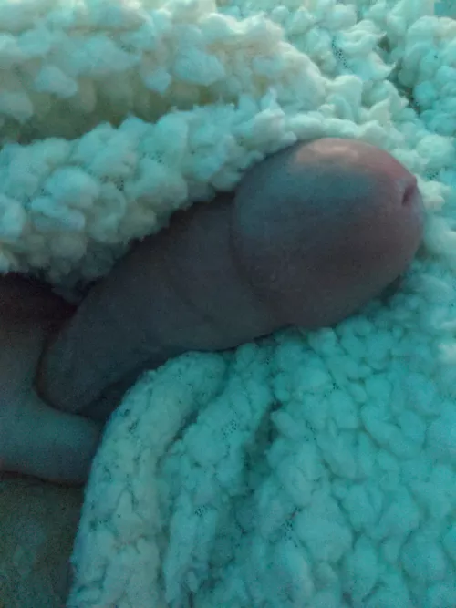 comfy & high by ffumder-rM