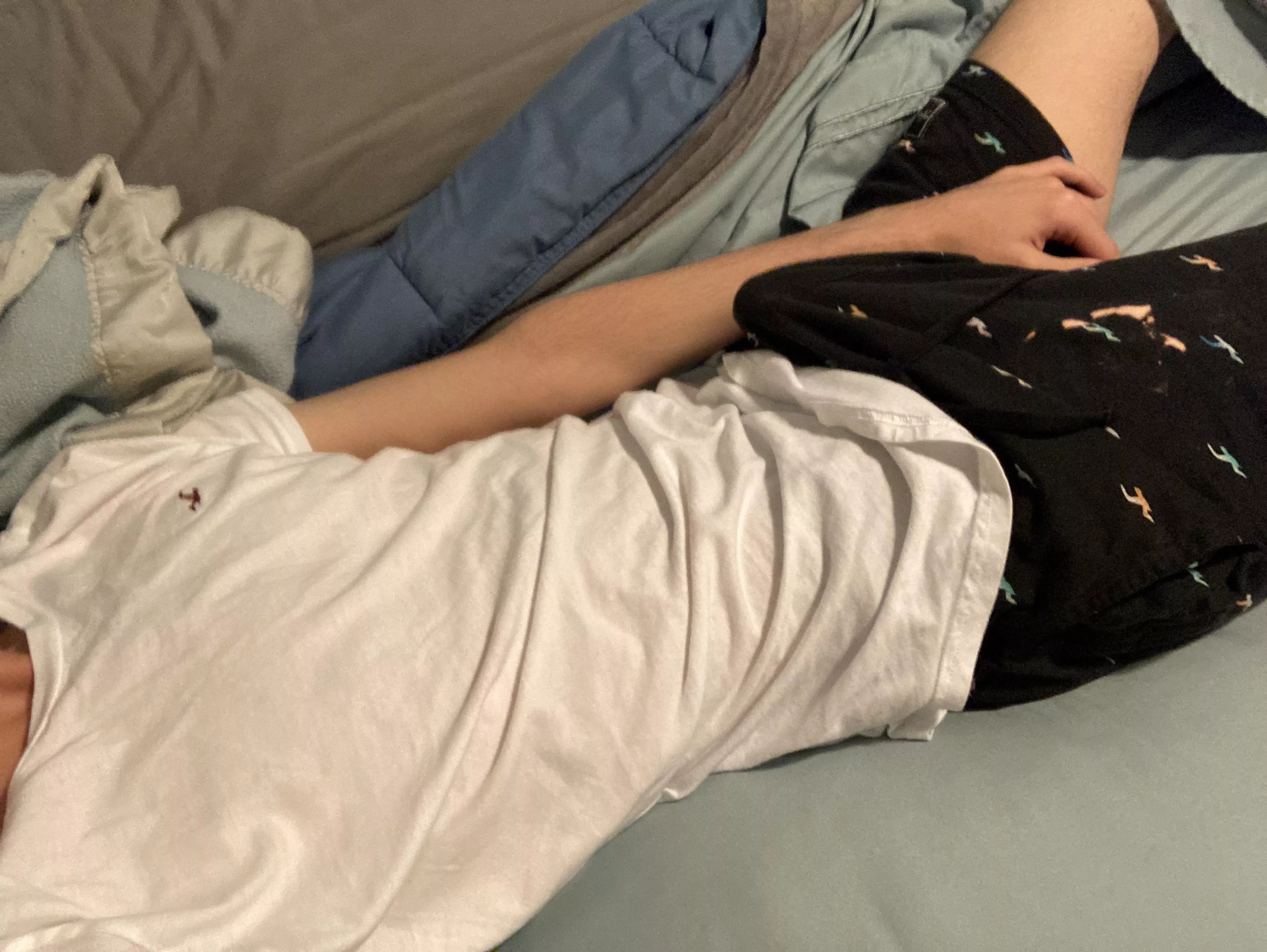 Comfy in bed :) posted by tlupinex