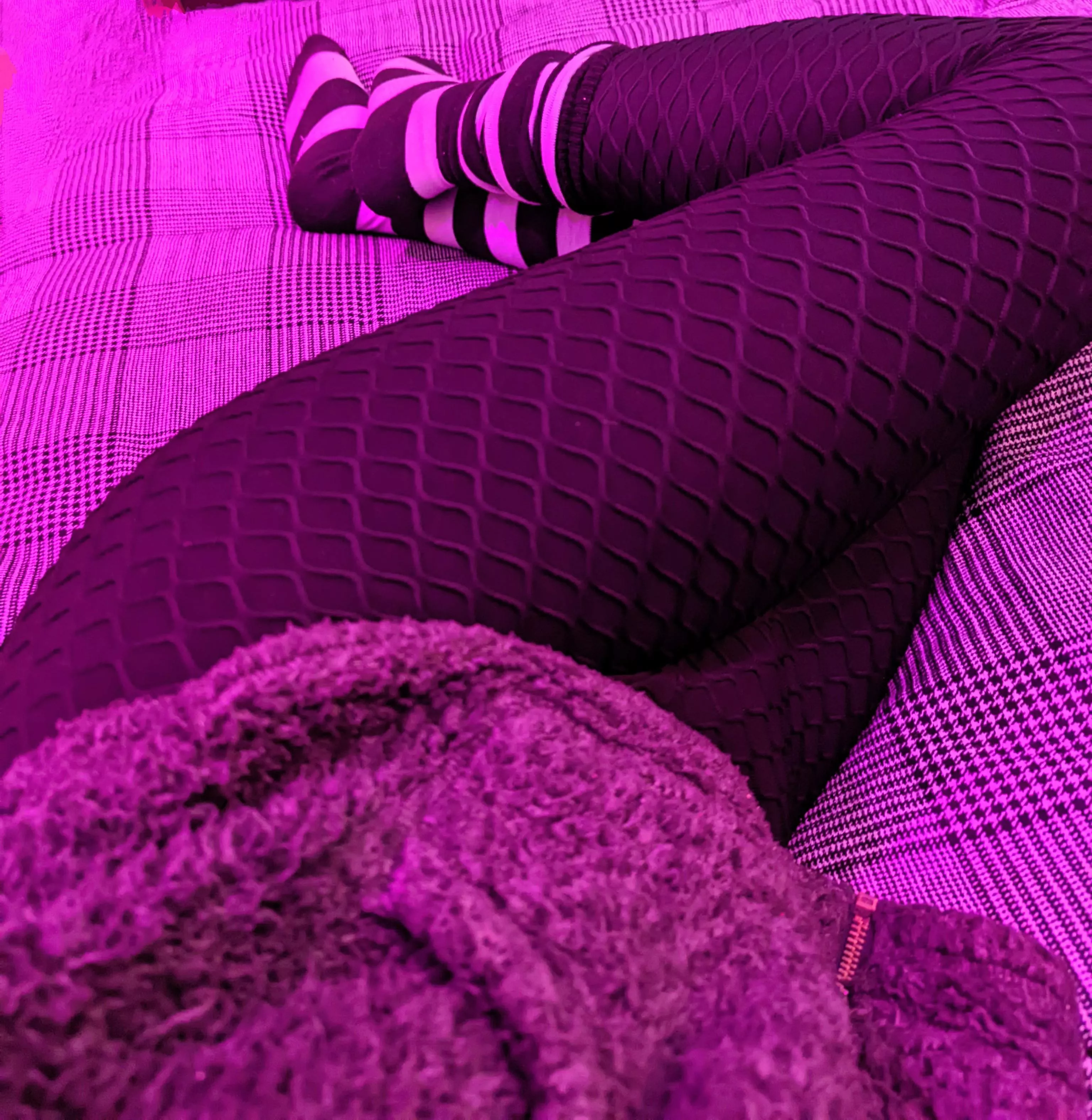 comfy leggingss ^^ posted by quilcat