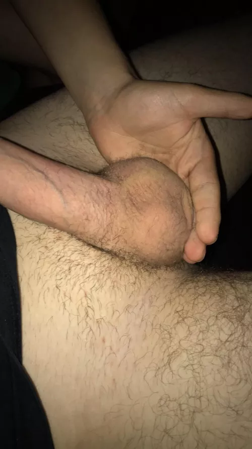 compared to them my hand looks small by albatross_98