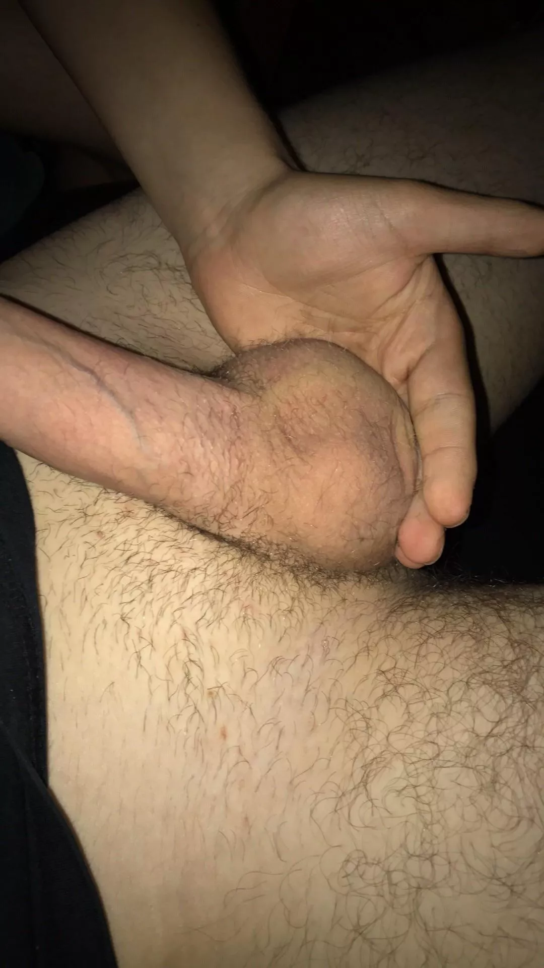 compared to them my hand looks small posted by albatross_98