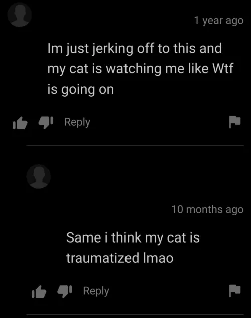 Confused 🐱 by throwawa-y1x7