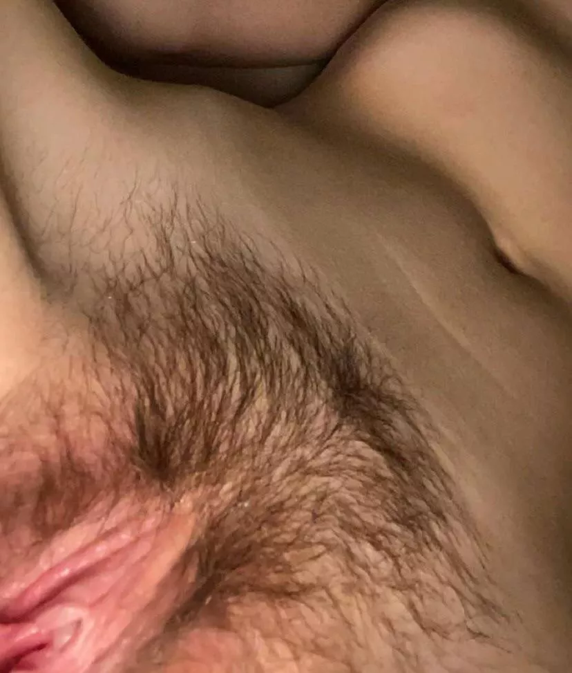 Could a wicked weasel bikini hide this hairy pussy? Comment! posted by geilllx3