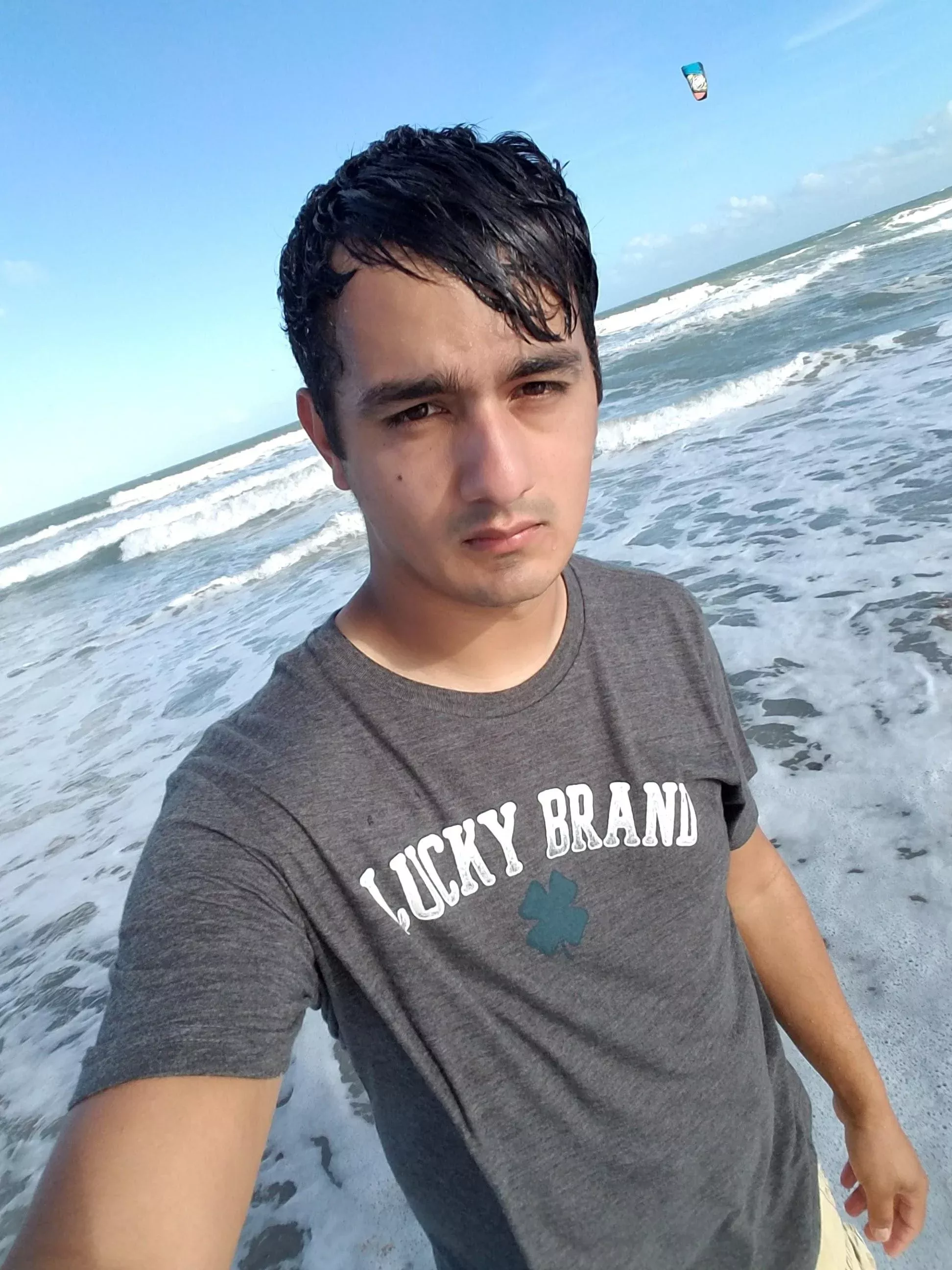 could I even get one upvote? posted by Tight-Surprise4831