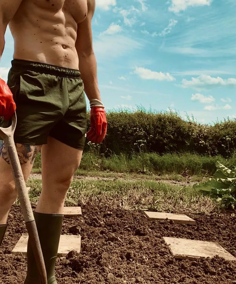 Could I get you more interested in gardening? posted by Bob_Shaft_