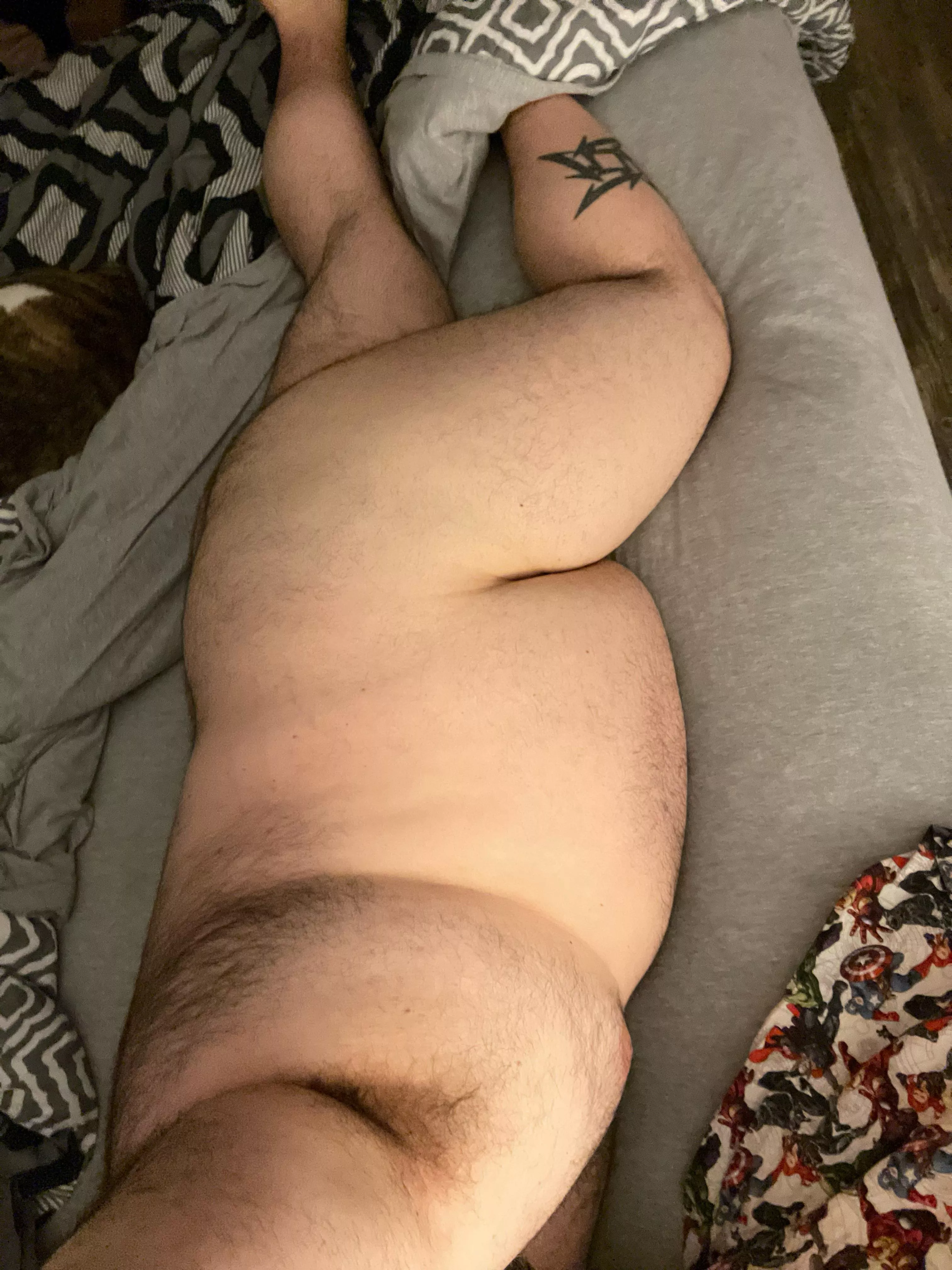 Could us a cuddle buddy…or two. posted by bjpal