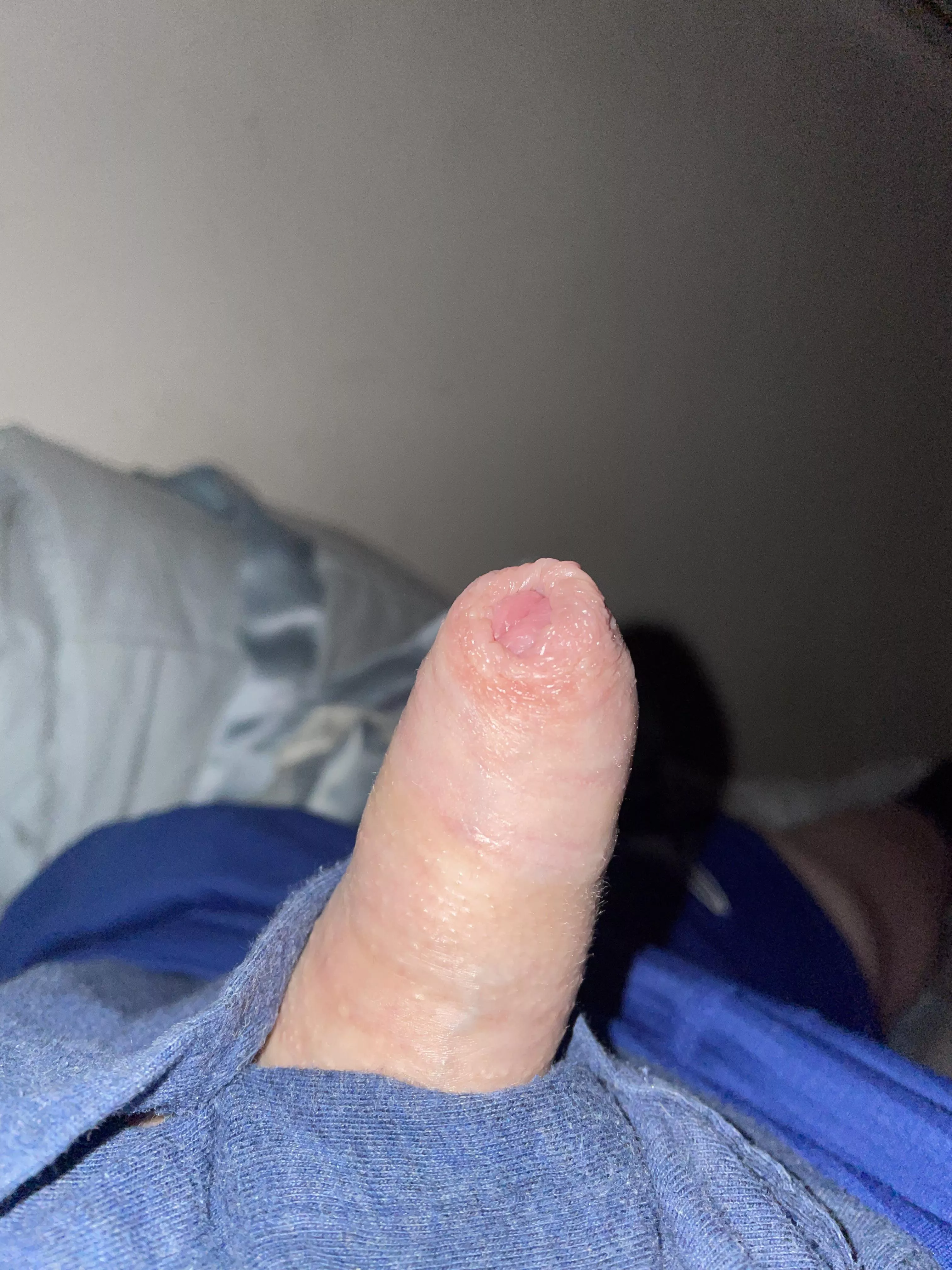 Couldn’t keep him in (40) posted by Friendly-Jacket-1793