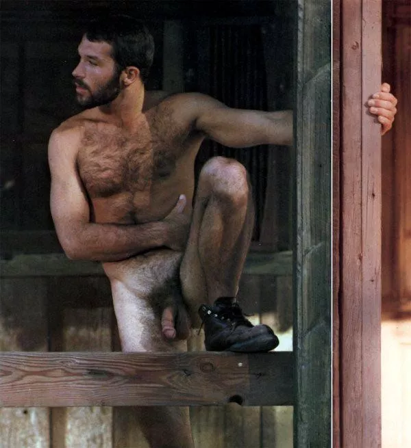 “Country bush” … posted by neilfromsydney2003