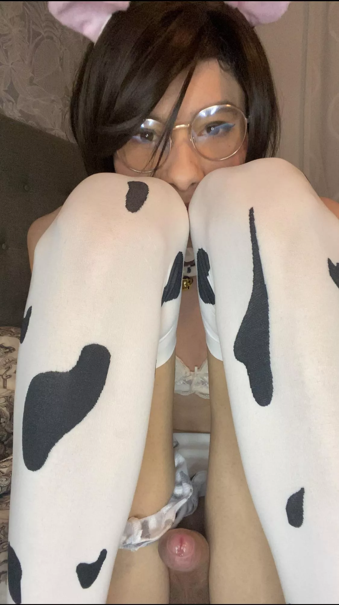 Cow with pp 🐮 posted by TS_Princess_Philly