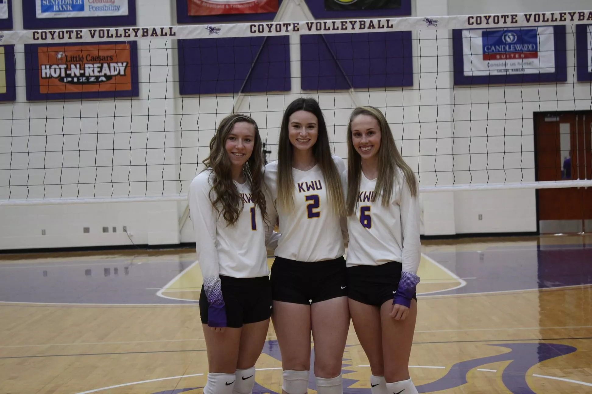 Coyotes posted by hybridchicken2000