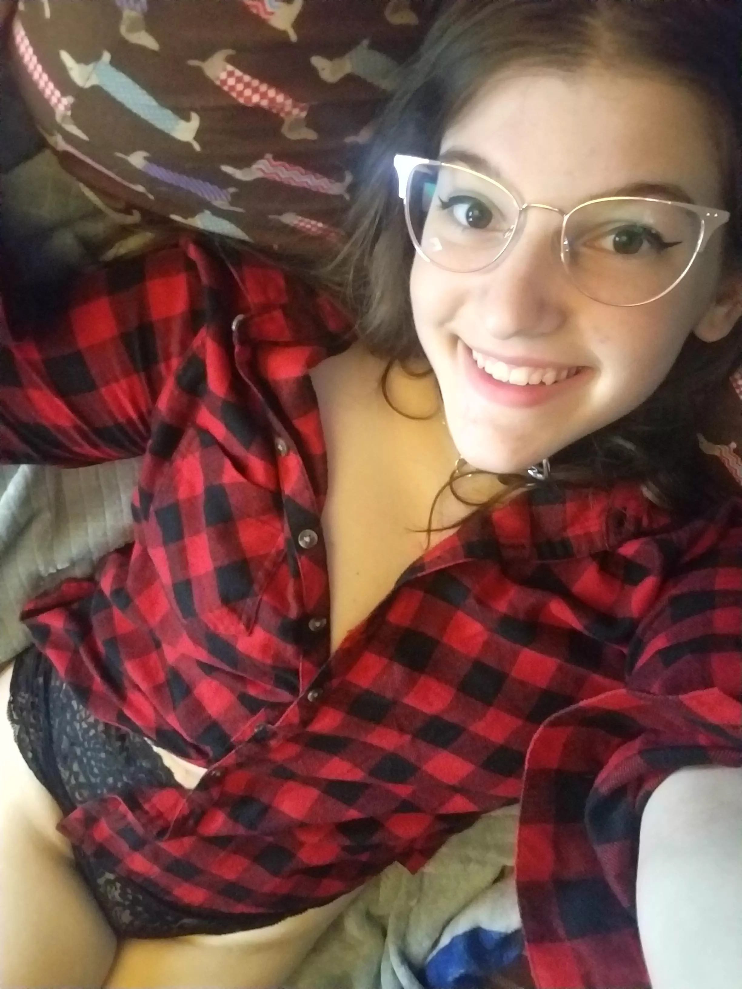 Cozy and Collared [18F] posted by ebee7