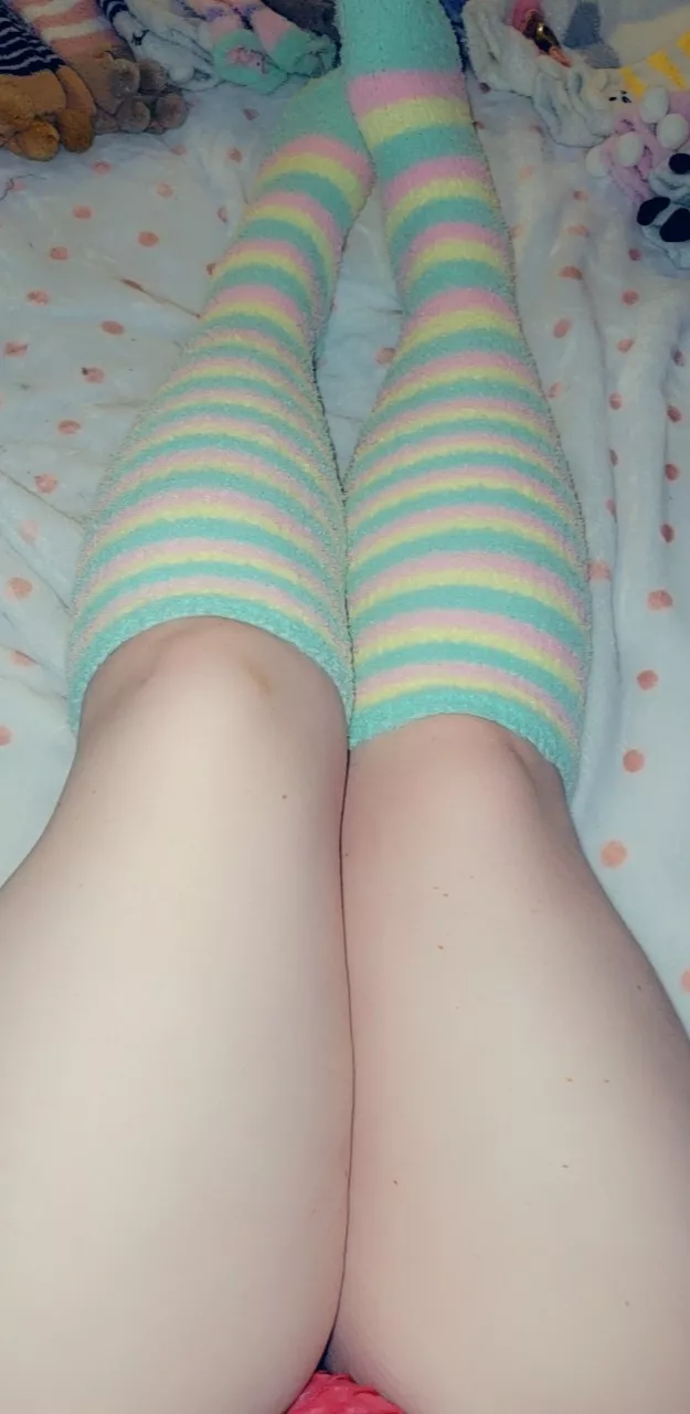 Cozy.. now all I needs is snuggles posted by foxxcii