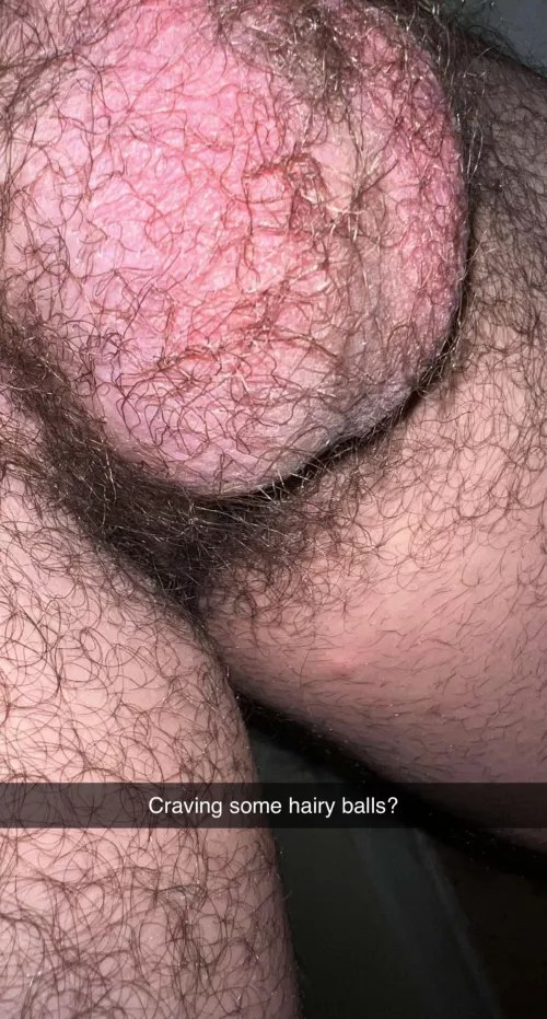 Craving some hairy balls? ;) by Strong-Piano-4241
