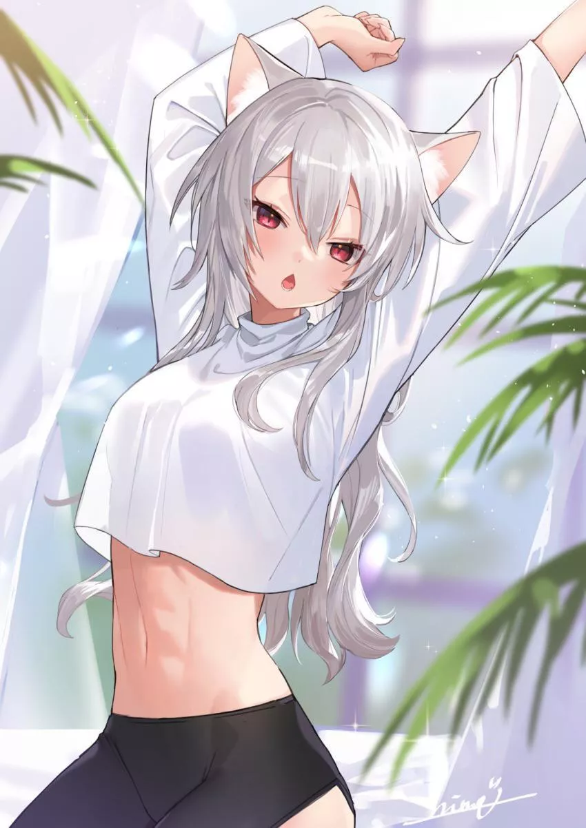 Crop top neko posted by Expert_Concept6704