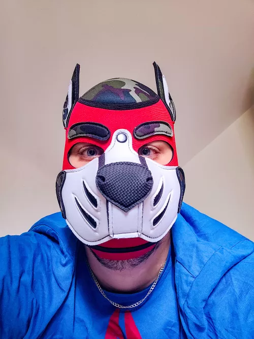 Cuddle? by FletcherSchiffmann