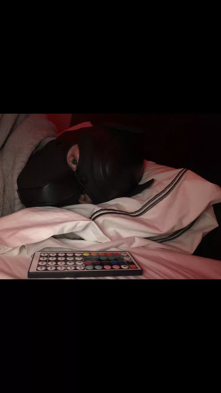 Cuddles?!🥺 posted by doi_boi69